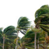 Tempête en mer