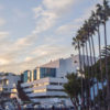 Cannes en suspens