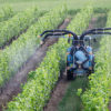 Pesticide controversé