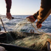 La Méditerranée se réchauffe