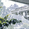 Orages attendus ce vendredi