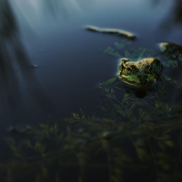 L'Or, Valeur Refuge : Stratégies d'Investissement Avisées pour un Patrimoine Durable