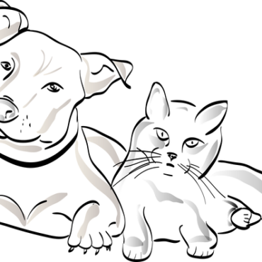 Monaco : L'Éclat Princier et l'Amour des Animaux au Cœur de la SPA Rénovée