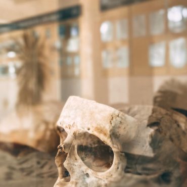 À Monaco, une plongée fascinante dans les origines de l’humanité