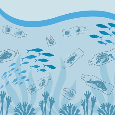 L'Odyssée Écologique du Plastic Soup Surfer : Une Voile d'Espoir de Monaco à Rome