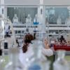 Vigilance Sanitaire à Monaco : L&rsquo;Hantavirus International Sous Contrôle, La Principauté Protégée