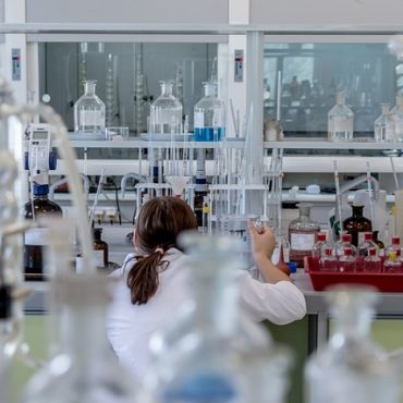 Vigilance Sanitaire à Monaco : L'Hantavirus International Sous Contrôle, La Principauté Protégée