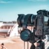 Éclat et Éthique sur la Croisette : Le Cinéma Interpellé sur la Condition Animale
