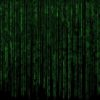 Cyberattaque contre les services informatiques de la mairie de Beausoleil