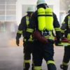 Incendie majeur en forêt de Fontainebleau : 800 hectares brûlés