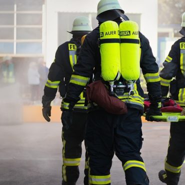 Incendie majeur en forêt de Fontainebleau : 800 hectares brûlés