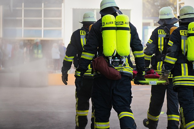 Incendie majeur en forêt de Fontainebleau : 800 hectares brûlés