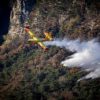 Incendie dans la forêt de Fontainebleau : plus de 800 hectares brûlés
