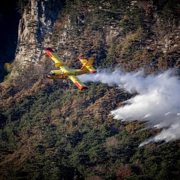 Incendie dans la forêt de Fontainebleau : plus de 800 hectares brûlés