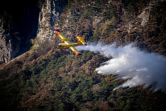 Incendie dans la forêt de Fontainebleau : plus de 800 hectares brûlés