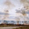 Forêt de Fontainebleau : incendies fixés après 2 000 hectares brûlés