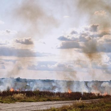 Forêt de Fontainebleau : incendies fixés après 2 000 hectares brûlés