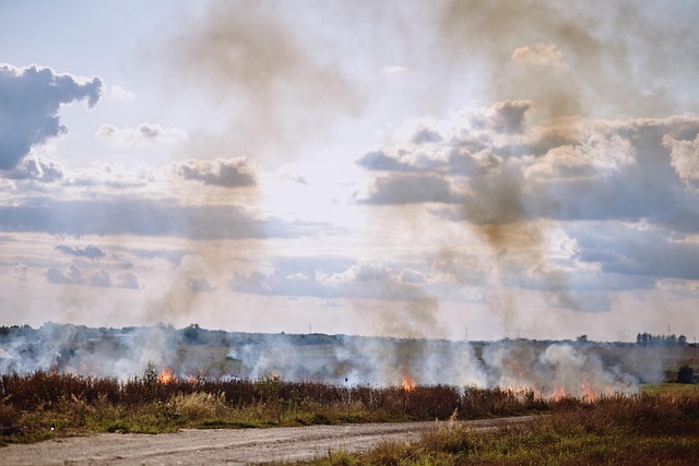 Bilan des incendies et interpellations en France